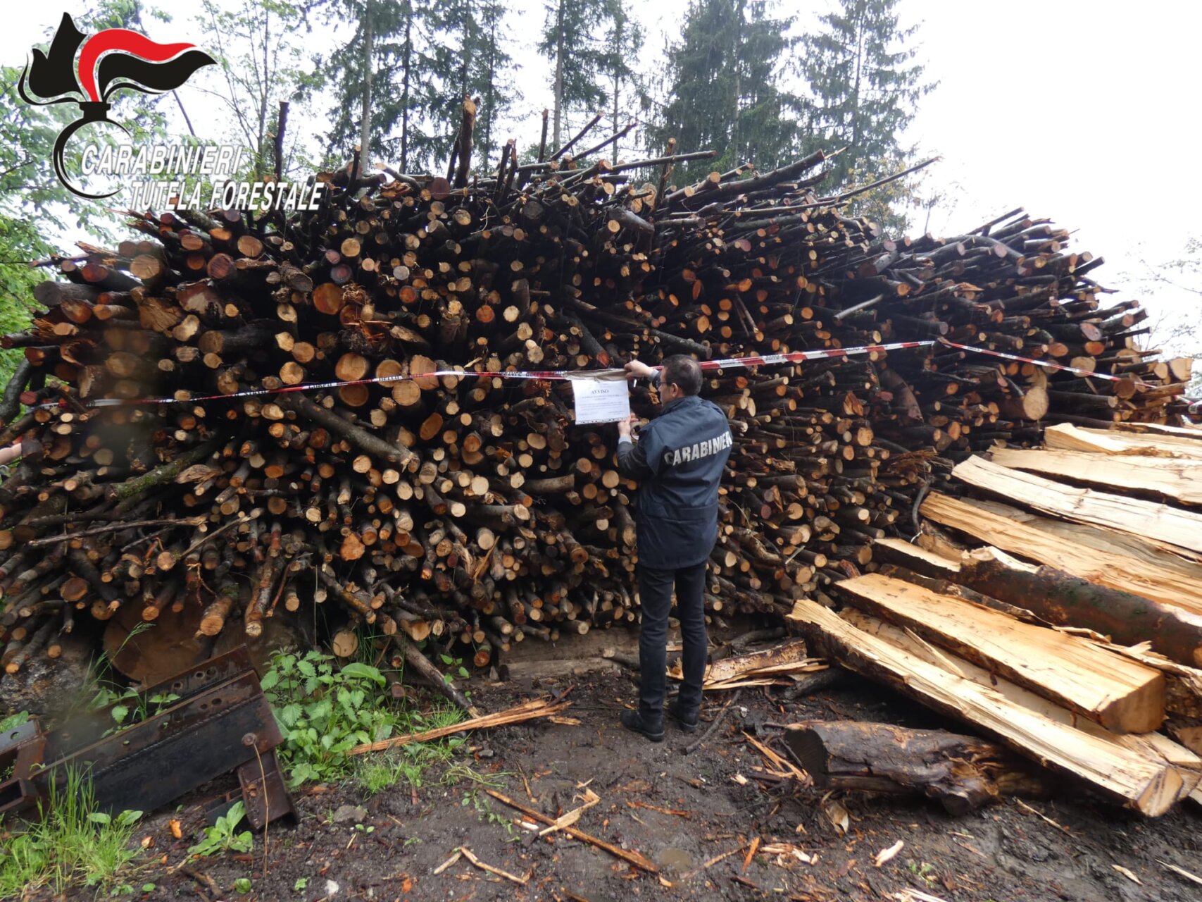 113mila euro in sanzioni per i forestali, da gennaio