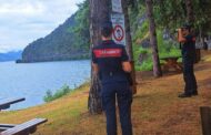 Controlli dei carabinieri forestali a Ferragosto: 20 multe
