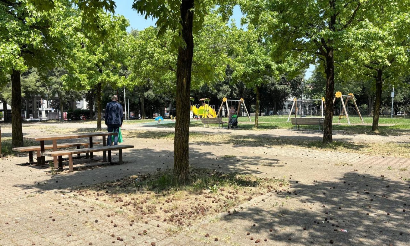 Allerta meteo: chiusura precauzionale di parchi e giardini