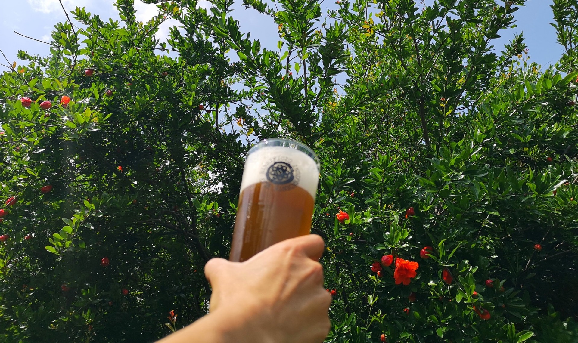 Tutto pronto per il rilancio del Birrificio Elav di Comun Nuovo