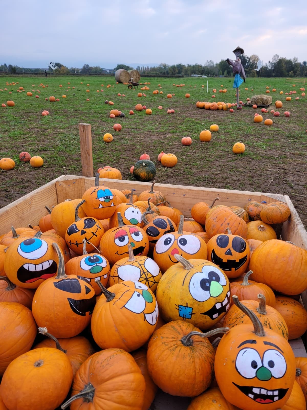 Le Cornelle si tingono d'arancio