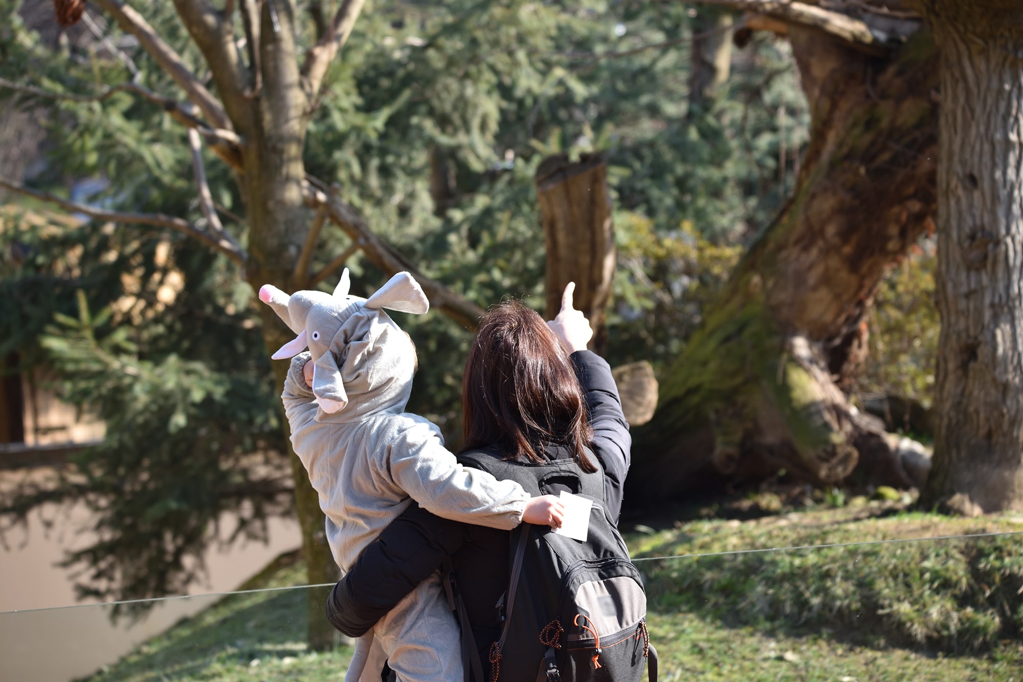 Festa di Carnevale al Parco Faunistico Le Cornelle