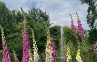 La Rete degli Orti Botanici della Lombardia festeggia il solstizio d'estate con “Frescheggiare. Orti Botanici, Rifugi Climatici Urbani”